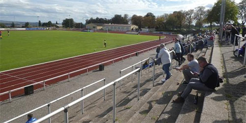 ظ������. Elm Stadium