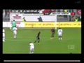    () 1:1